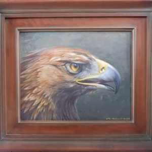 Eagle 40x50cm include frame 10jt